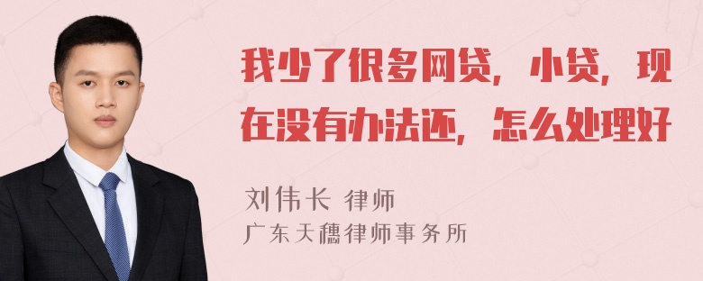 我少了很多网贷，小贷，现在没有办法还，怎么处理好