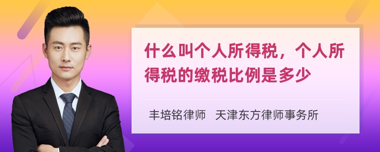 什么叫个人所得税，个人所得税的缴税比例是多少