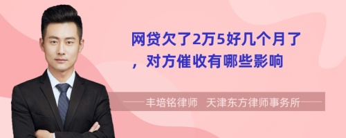 网贷欠了2万5好几个月了，对方催收有哪些影响