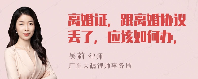 离婚证，跟离婚协议丢了，应该如何办，