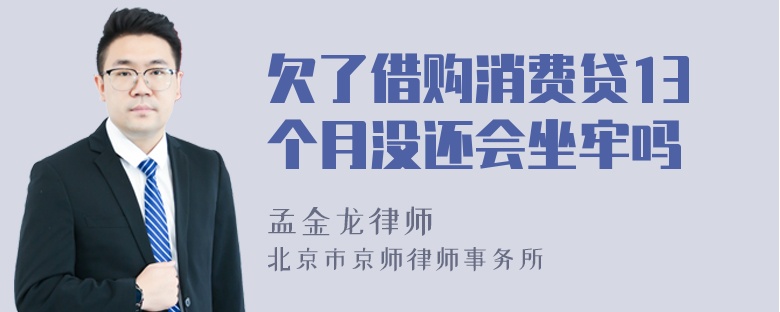 欠了借购消费贷13个月没还会坐牢吗