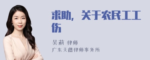 求助，关于农民工工伤