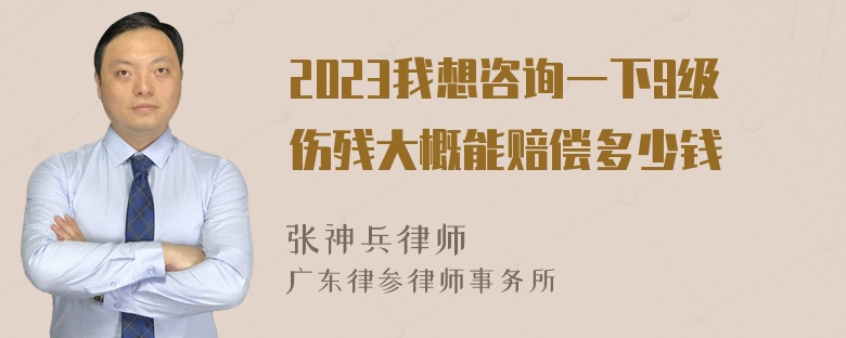 2023我想咨询一下9级伤残大概能赔偿多少钱