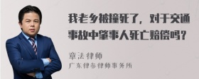 我老乡被撞死了，对于交通事故中肇事人死亡赔偿吗？