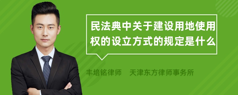 民法典中关于建设用地使用权的设立方式的规定是什么