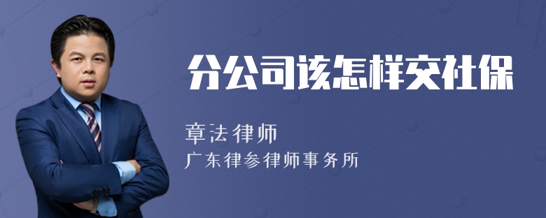 分公司该怎样交社保