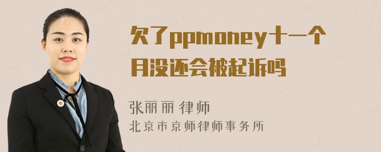 欠了ppmoney十一个月没还会被起诉吗