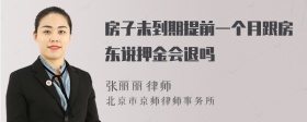 房子未到期提前一个月跟房东说押金会退吗