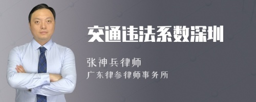 交通违法系数深圳