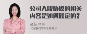 公司入股协议的相关内容是如何规定的？