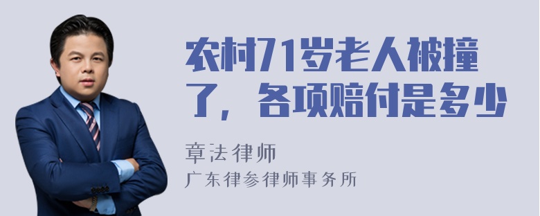 农村71岁老人被撞了，各项赔付是多少