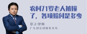 农村71岁老人被撞了，各项赔付是多少