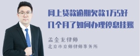 网上贷款逾期欠款1万5好几个月了如何办理停息挂账