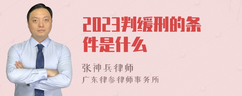 2023判缓刑的条件是什么