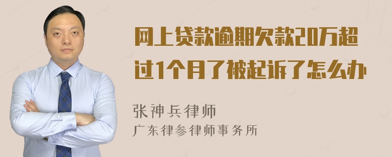 网上贷款逾期欠款20万超过1个月了被起诉了怎么办