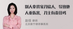 别人拿我家刀砍人，导致他人重伤害，刀主有责任吗