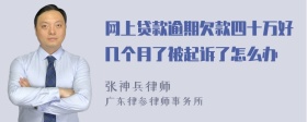 网上贷款逾期欠款四十万好几个月了被起诉了怎么办