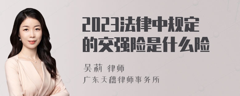 2023法律中规定的交强险是什么险