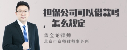 担保公司可以借款吗，怎么规定