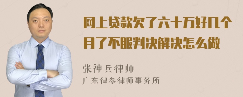 网上贷款欠了六十万好几个月了不服判决解决怎么做