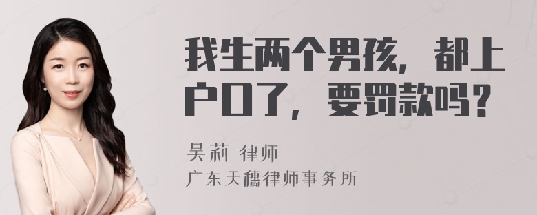 我生两个男孩，都上户口了，要罚款吗？