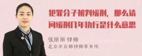 犯罪分子被判缓刑，那么请问缓刑几年执行是什么意思