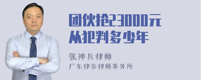 团伙抢23000元从犯判多少年