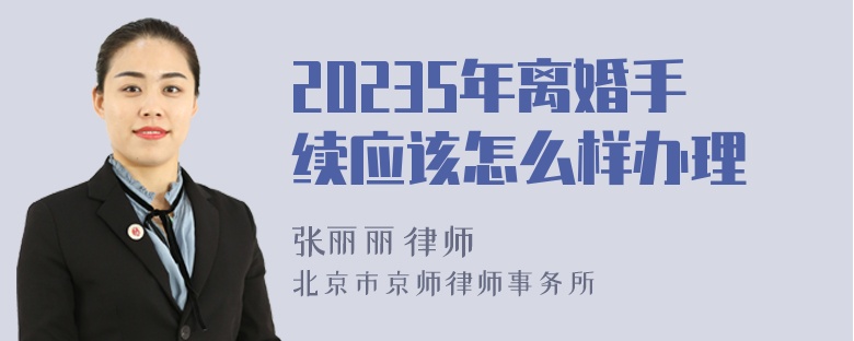 20235年离婚手续应该怎么样办理