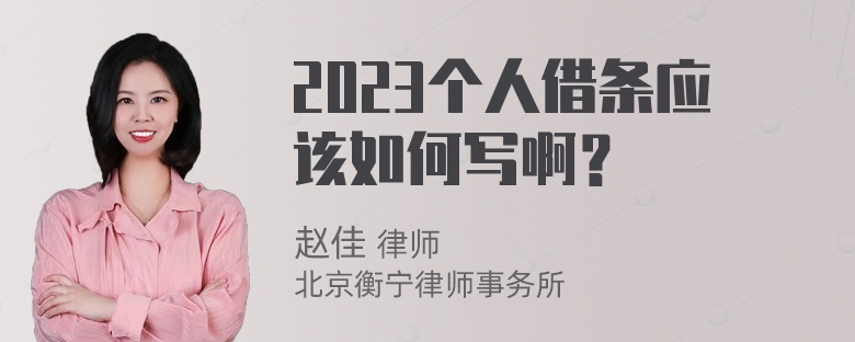 2023个人借条应该如何写啊？