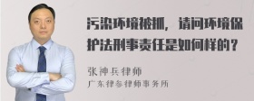 污染环境被抓，请问环境保护法刑事责任是如何样的？