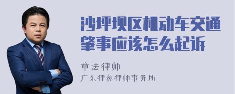 沙坪坝区机动车交通肇事应该怎么起诉