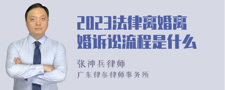 2023法律离婚离婚诉讼流程是什么