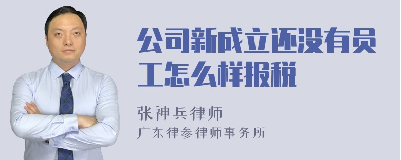 公司新成立还没有员工怎么样报税