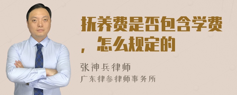 抚养费是否包含学费，怎么规定的