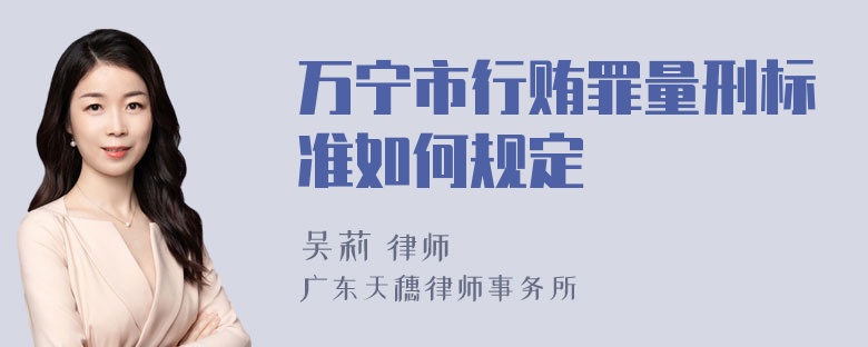 万宁市行贿罪量刑标准如何规定