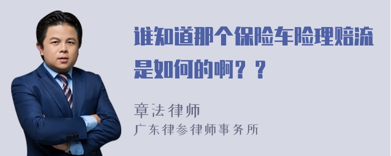 谁知道那个保险车险理赔流是如何的啊？？