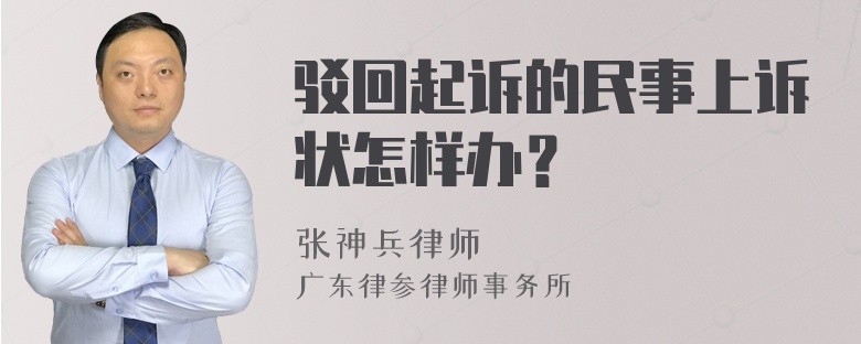 驳回起诉的民事上诉状怎样办？