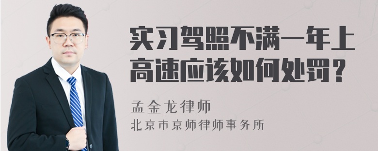 实习驾照不满一年上高速应该如何处罚？