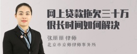 网上贷款拖欠三十万很长时间如何解决