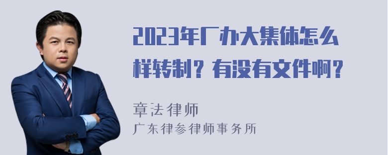 2023年厂办大集体怎么样转制？有没有文件啊？