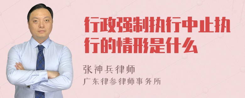 行政强制执行中止执行的情形是什么