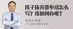 孩子抚养费不给怎么写？该如何办呢？