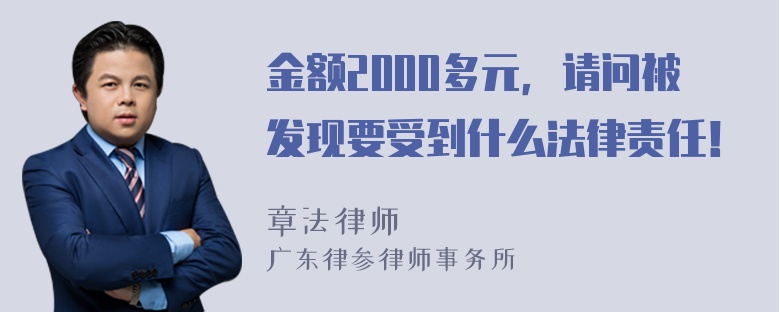 金额2000多元，请问被发现要受到什么法律责任！