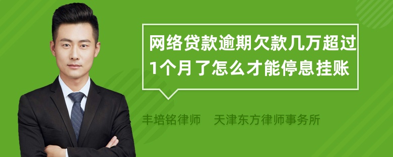 网络贷款逾期欠款几万超过1个月了怎么才能停息挂账