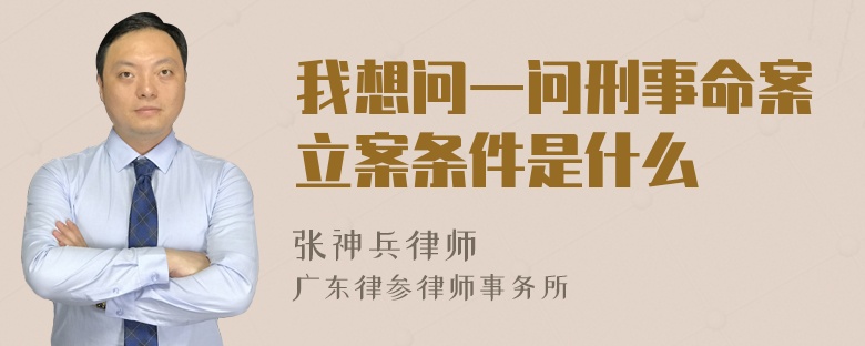 我想问一问刑事命案立案条件是什么