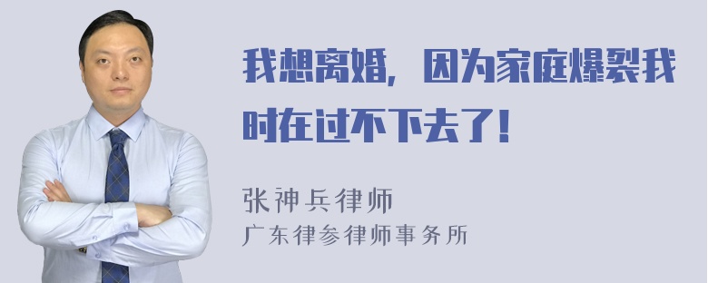 我想离婚，因为家庭爆裂我时在过不下去了！