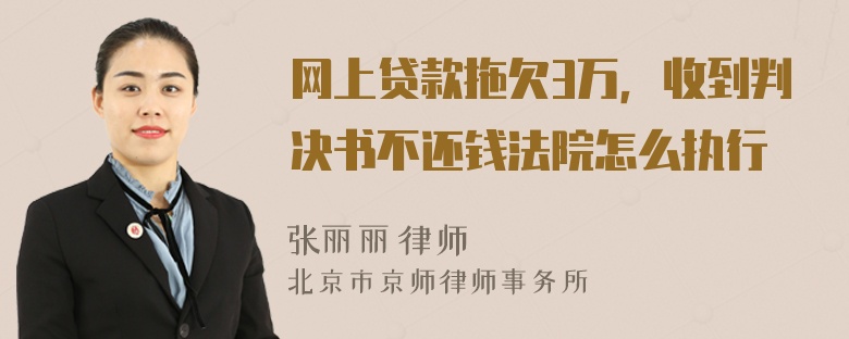 网上贷款拖欠3万，收到判决书不还钱法院怎么执行