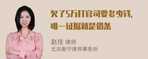 欠了5万打官司要多少钱，唯一证据就是借条