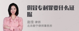 假冒专利罪要什么证据