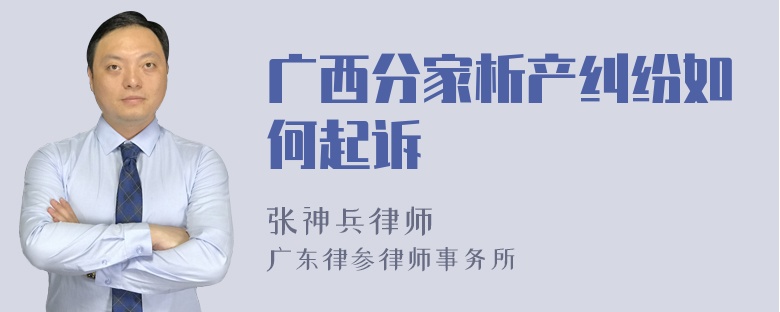 广西分家析产纠纷如何起诉